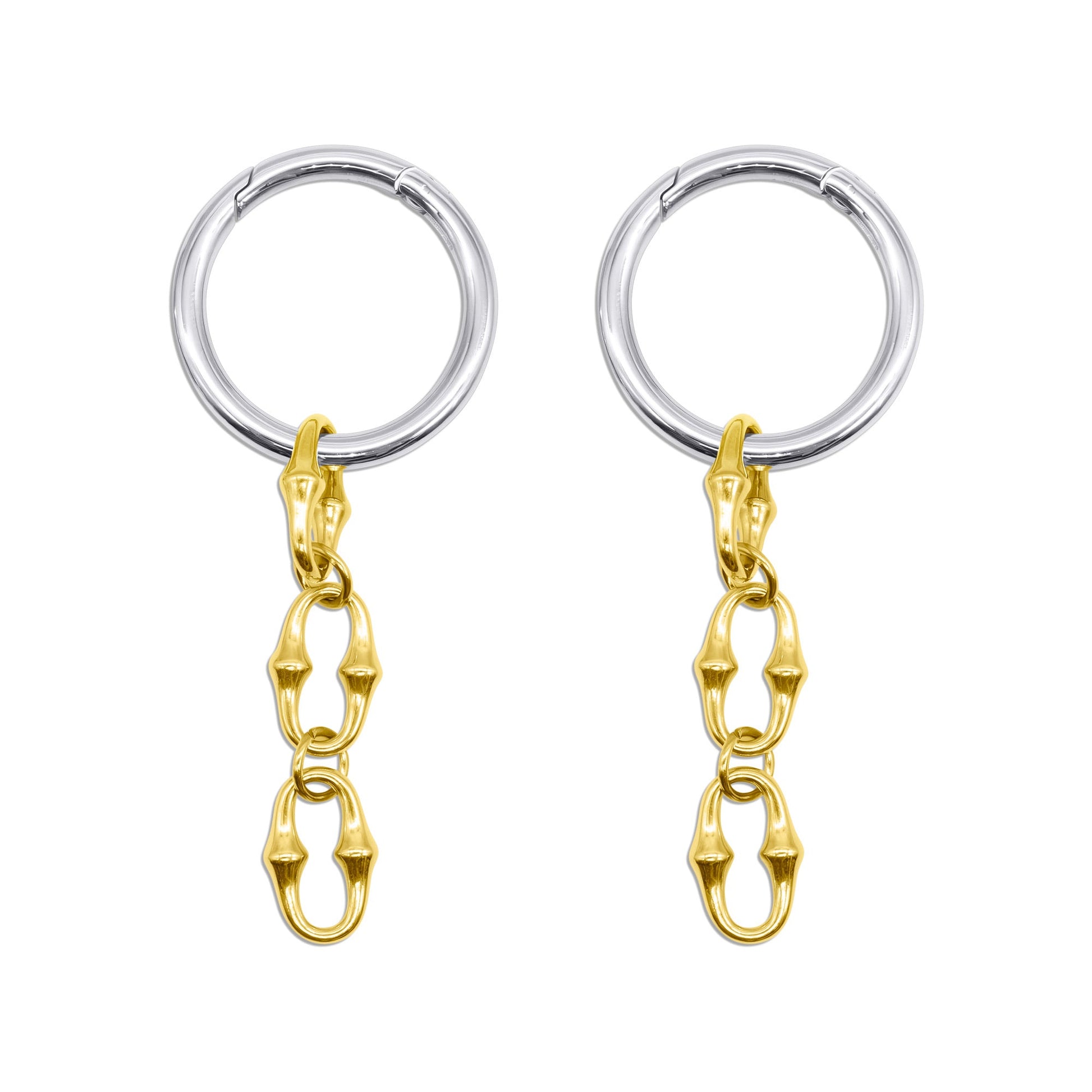 Pair of earrings with gold and steel rings on a white background