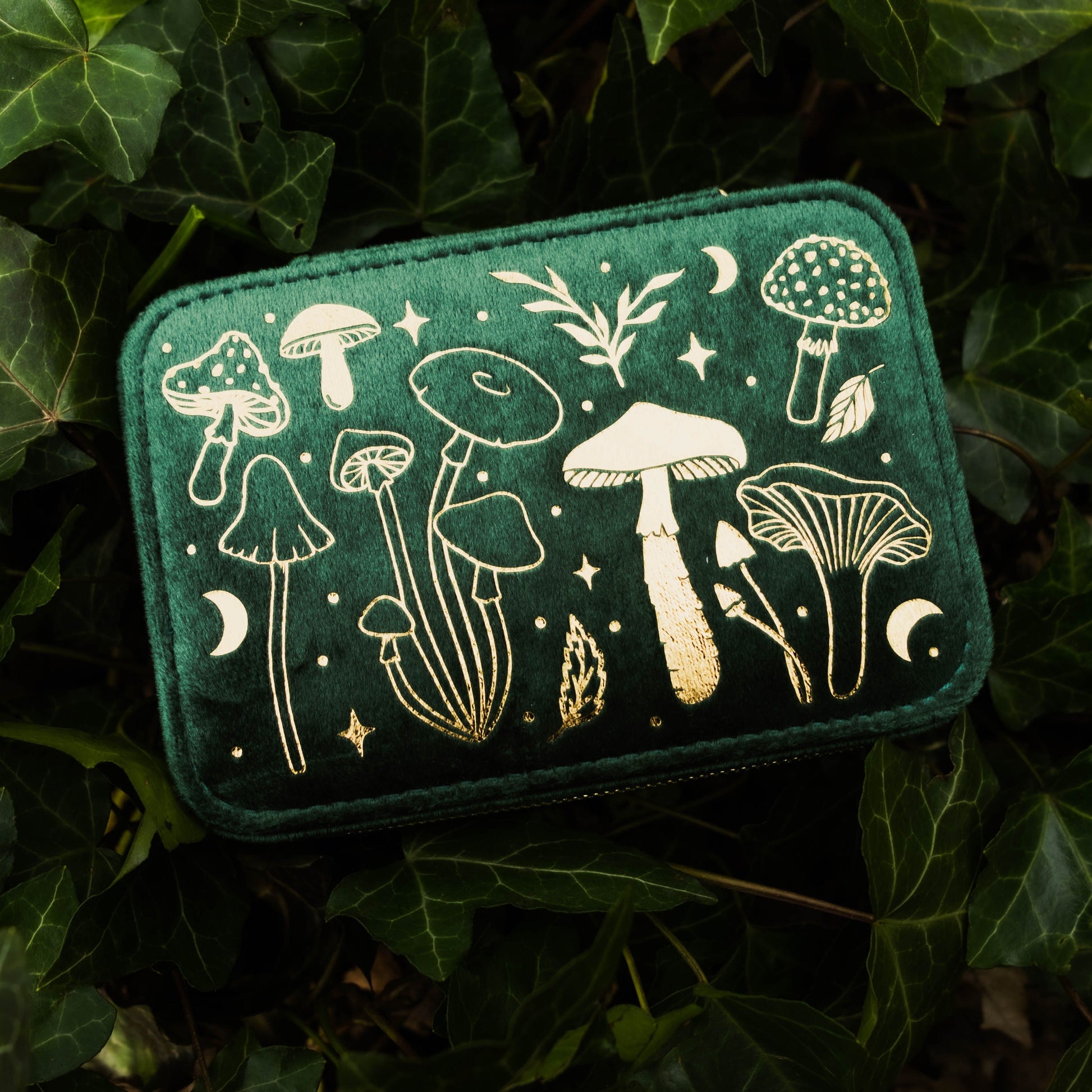 Green box with white mushroom illustrations on a leafy background