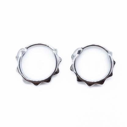 Stainless steel hoop earrings on a white background