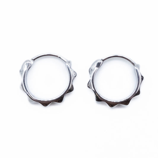 Stainless steel hoop earrings on a white background