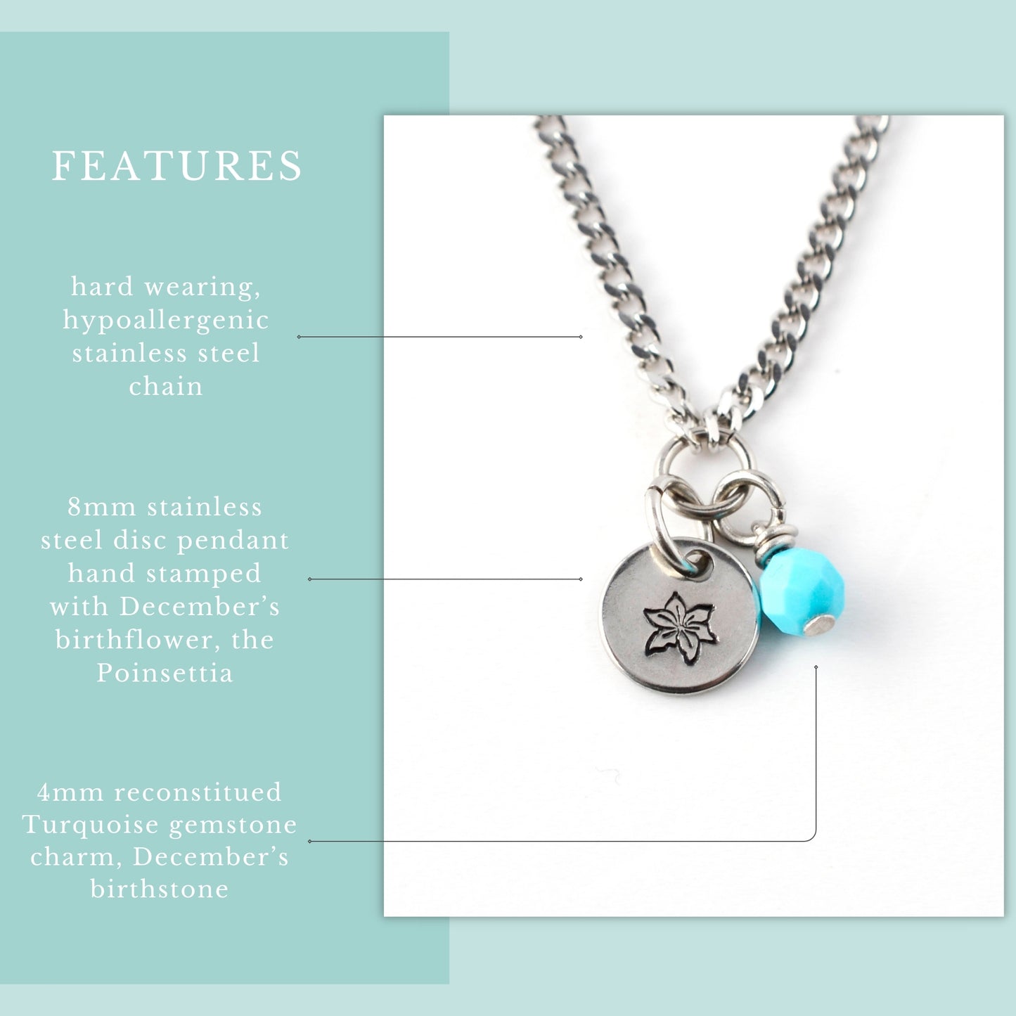 December Birthflower With Birthstone Necklace