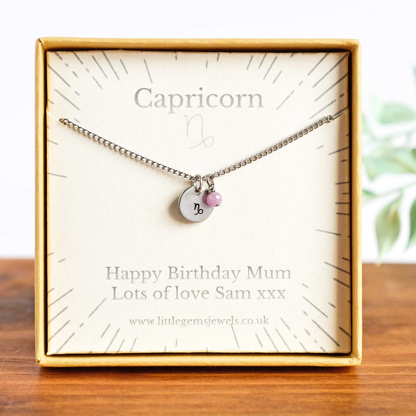 Capricorn Zodiac necklace with personalised gift message in eco friendly gift box